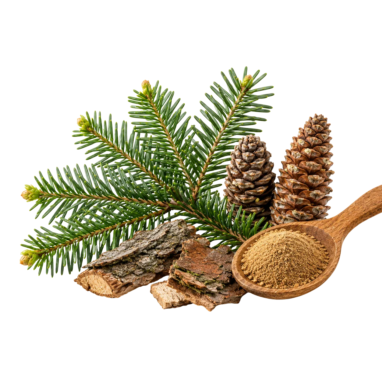 Belinal white fir extract in Active Move for daily joint support